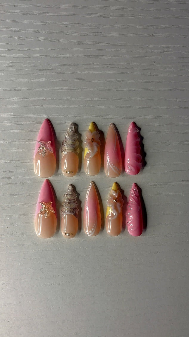 Seashell Sunset