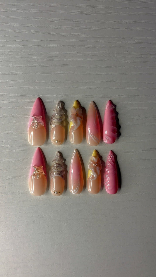 Seashell Sunset